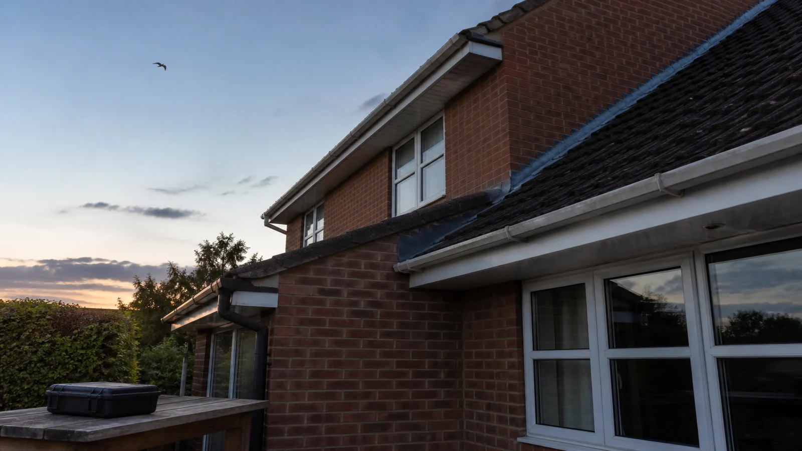 Roof and soffit assessment before work where bats may be present